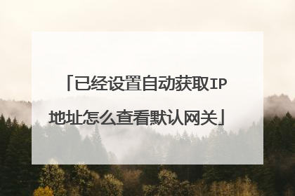 已经设置自动获取IP地址怎么查看默认网关