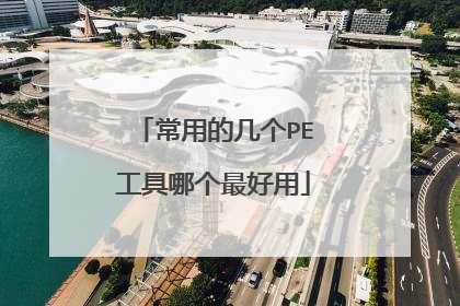 常用的几个PE工具哪个最好用