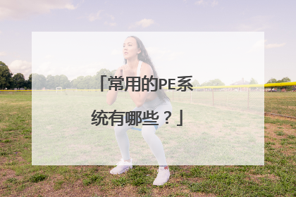 常用的PE系统有哪些？