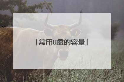 常用U盘的容量