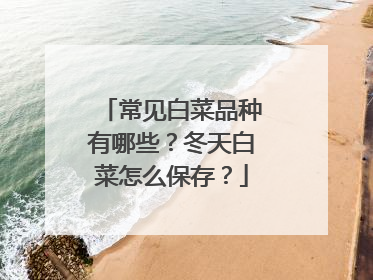 常见白菜品种有哪些?冬天白菜怎么保存?