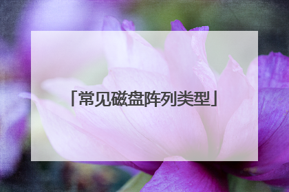 常见磁盘阵列类型