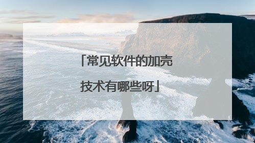常见软件的加壳技术有哪些呀