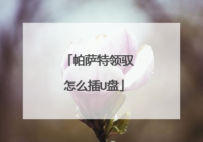 帕萨特领驭怎么插U盘