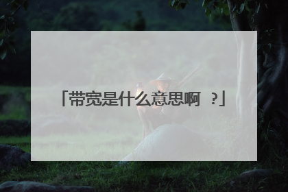 带宽是什么意思啊 ?