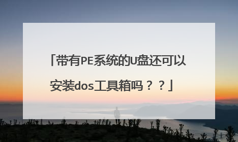 带有PE系统的U盘还可以安装dos工具箱吗？？