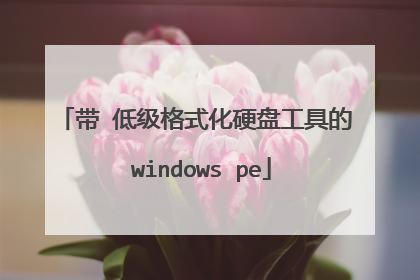 带 低级格式化硬盘工具的 windows pe