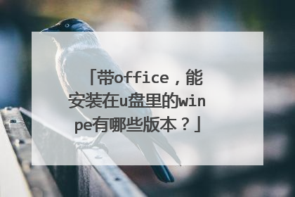 带office，能安装在u盘里的winpe有哪些版本？