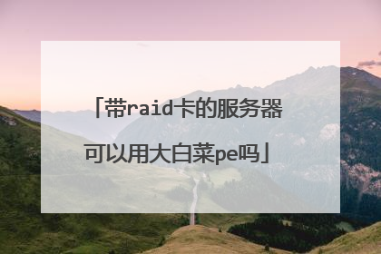 带raid卡的服务器可以用大白菜pe吗