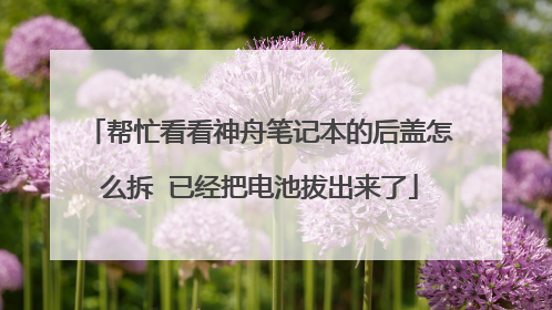 帮忙看看神舟笔记本的后盖怎么拆 已经把电池拔出来了