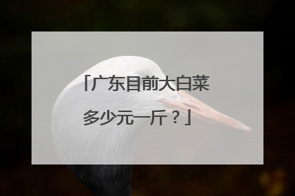 广东目前大白菜多少元一斤?