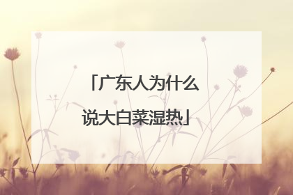 广东人为什么说大白菜湿热