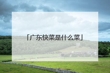 广东快菜是什么菜