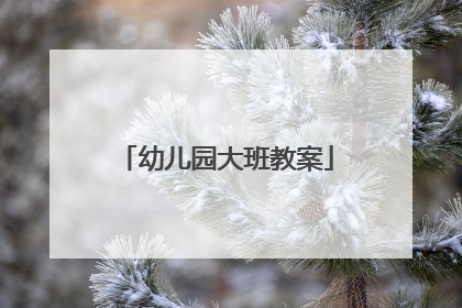幼儿园大班教案
