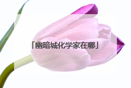 幽暗城化学家在哪