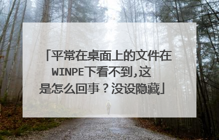 平常在桌面上的文件在WINPE下看不到,这是怎么回事?没设隐藏