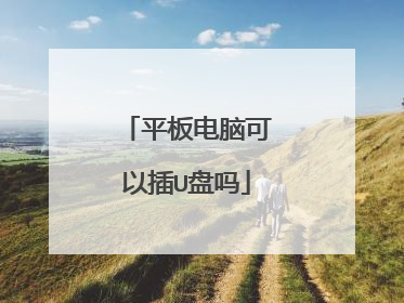 平板电脑可以插U盘吗