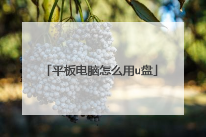 平板电脑怎么用u盘