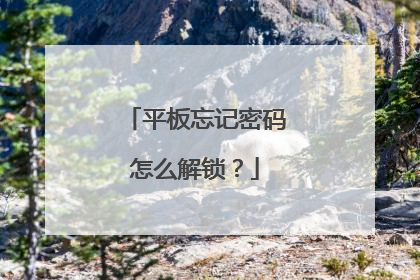 平板忘记密码怎么解锁?