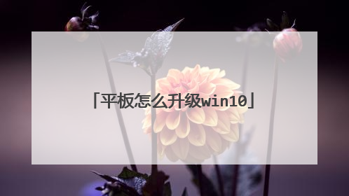 平板怎么升级win10