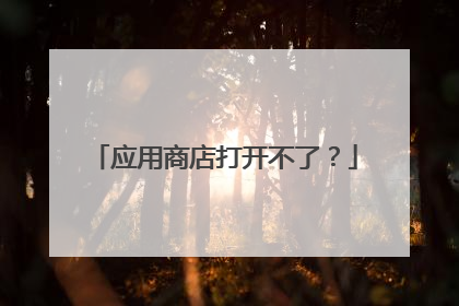 应用商店打开不了?