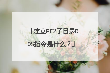 建立PE2子目录DOS指令是什么?