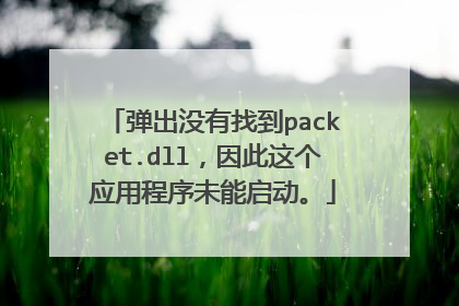 弹出没有找到packet.dll,因此这个应用程序未能启动。