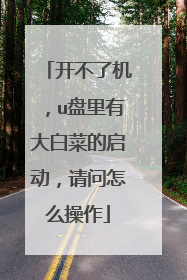 开不了机,u盘里有大白菜的启动,请问怎么操作