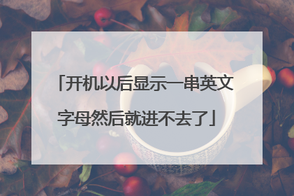 开机以后显示一串英文字母然后就进不去了