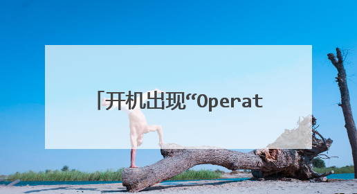 开机出现“Operatonn System not found”进不了系统该如何处理？
