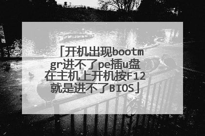 开机出现bootmgr进不了pe插u盘在主机上开机按F12就是进不了BIOS