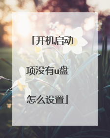 开机启动项没有u盘怎么设置