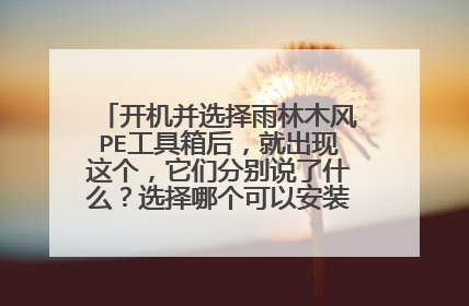开机并选择雨林木风PE工具箱后,就出现这个,它们分别说了什么?选择哪个可以安装系统。谢谢!