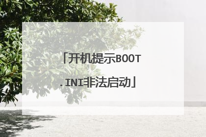 开机提示BOOT.INI非法启动