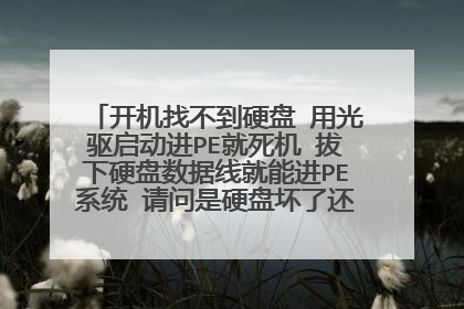 开机找不到硬盘 用光驱启动进PE就死机 拔下硬盘数据线就能进PE系统 请问是硬盘坏了还是数据线坏了