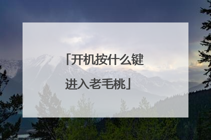 开机按什么键进入老毛桃