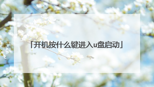 开机按什么键进入u盘启动