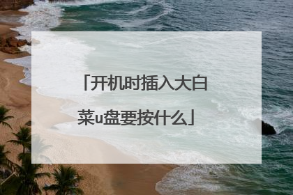 开机时插入大白菜u盘要按什么