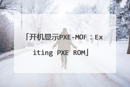 开机显示PXE-MOF:Exiting PXE ROM