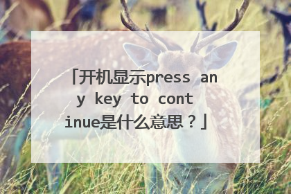 开机显示press any key to continue是什么意思?