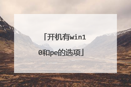 开机有win10和pe的选项