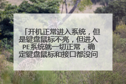 开机正常进入系统，但是键盘鼠标不亮，但进入PE系统就一切正常，确定键盘鼠标和接口都没问题，怎么办？