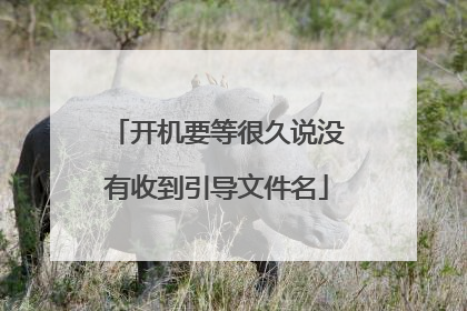 开机要等很久说没有收到引导文件名