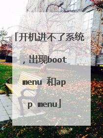 开机进不了系统,出现boot menu 和app menu