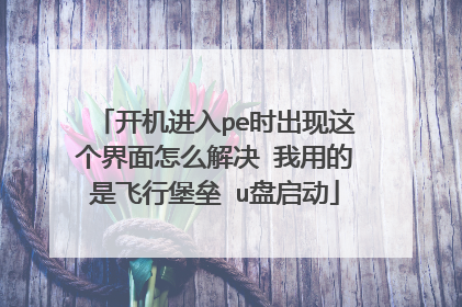 开机进入pe时出现这个界面怎么解决 我用的是飞行堡垒 u盘启动