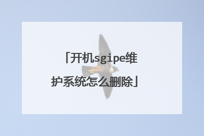 开机sgipe维护系统怎么删除