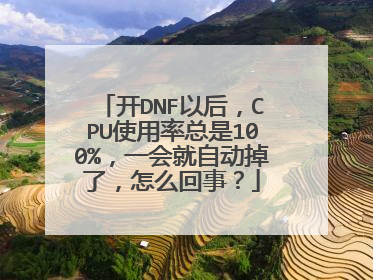 开DNF以后,CPU使用率总是100%,一会就自动掉了,怎么回事?