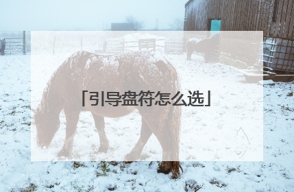 引导盘符怎么选