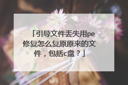 引导文件丢失用pe修复怎么复原原来的文件，包括c盘？