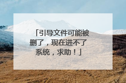 引导文件可能被删了，现在进不了系统，求助！